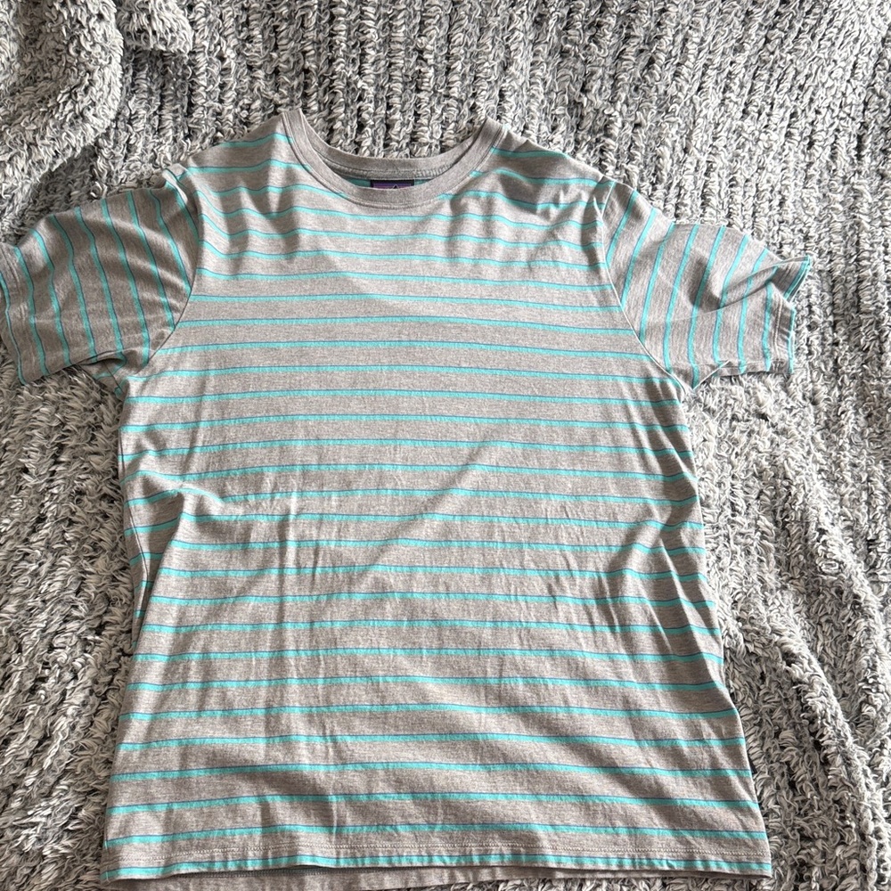 Patagonia Gray and Teal Striped Short Sleeve Tee